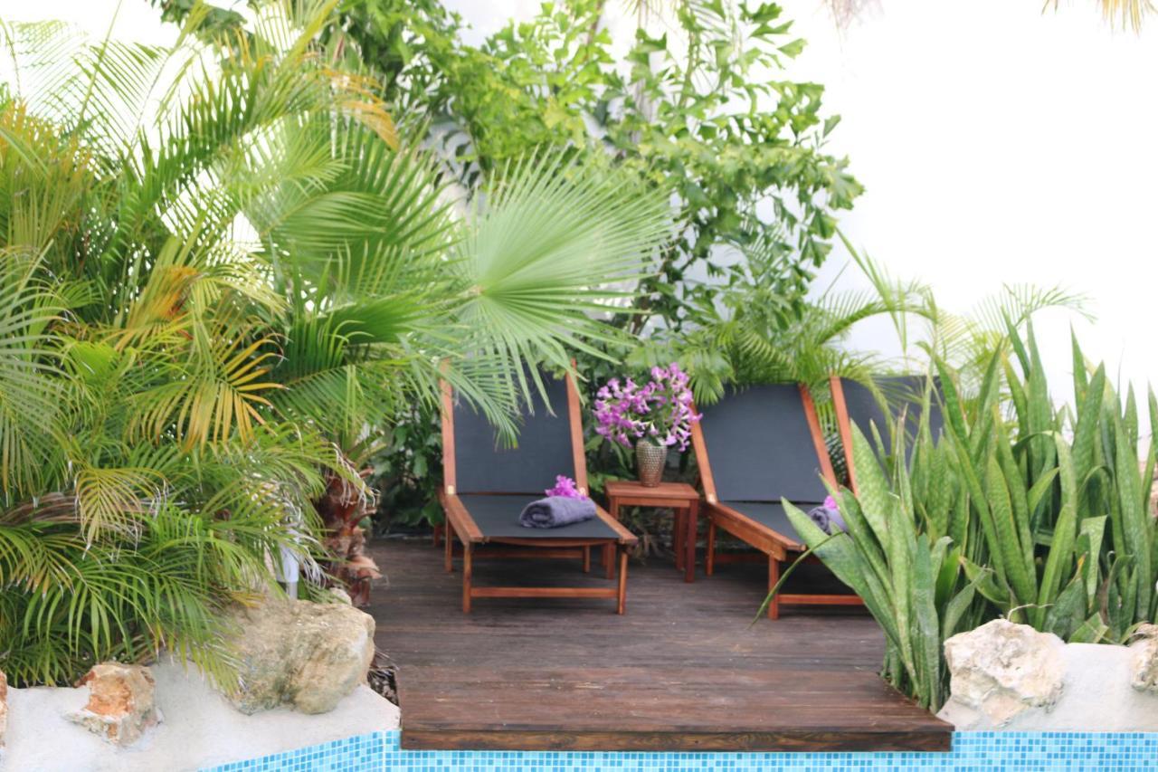 New House Tropic Paradise With Pool Willemstad Exterior photo
