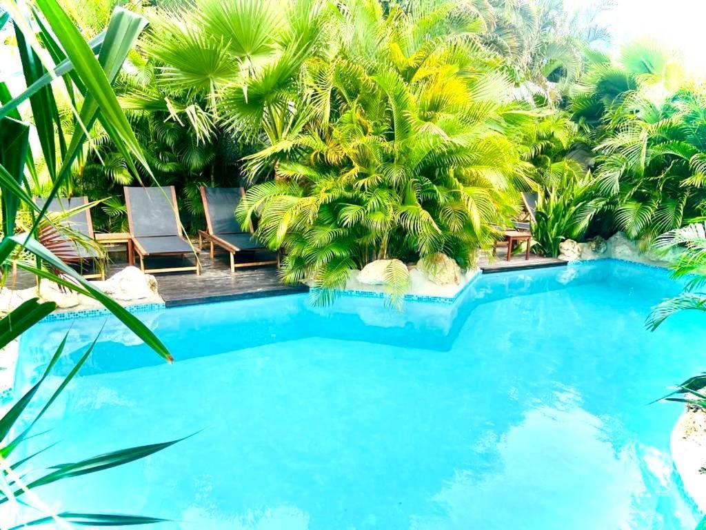 New House Tropic Paradise With Pool Willemstad Exterior photo